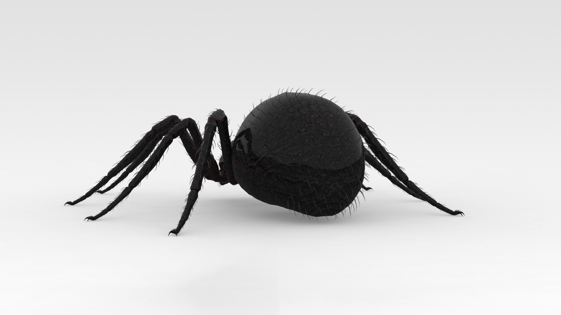 3D Giant Spider https://p.turbosquid.com/ts-thumb/wZ/1M5IPS/PM/004/png/1733901085/1920x1080/fit_q87/73a7d2b1811337f87b89c62da68d656ec3b69267/004.jpg
