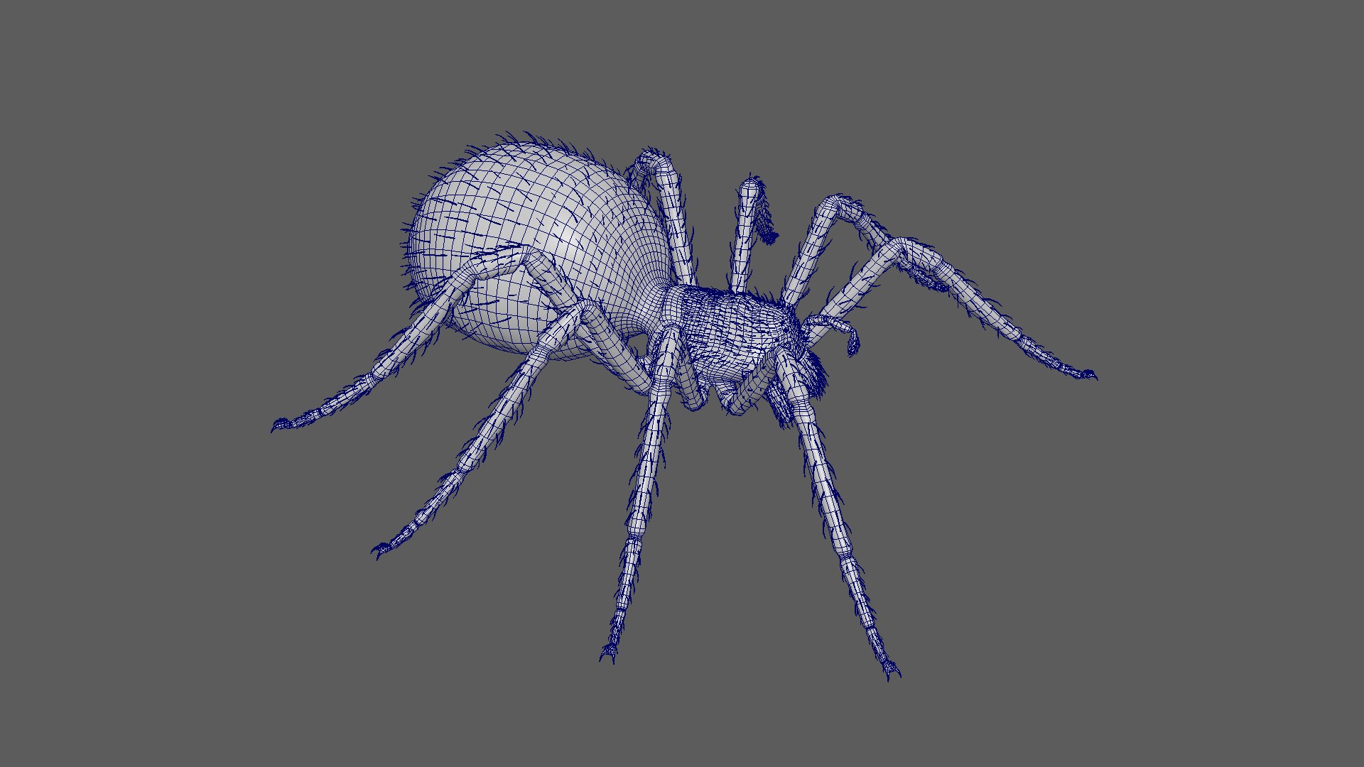 3D Giant Spider https://p.turbosquid.com/ts-thumb/wZ/1M5IPS/Xp/010/png/1733901087/1920x1080/fit_q87/6c4189861d03e2d27f80baa06413d448ddc41bb1/010.jpg