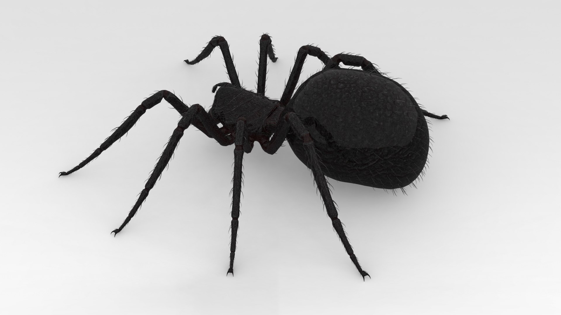 3D Giant Spider https://p.turbosquid.com/ts-thumb/wZ/1M5IPS/Yj/006/png/1733901085/1920x1080/fit_q87/684a544100687e3d8d6b464572ac1691cc584f91/006.jpg