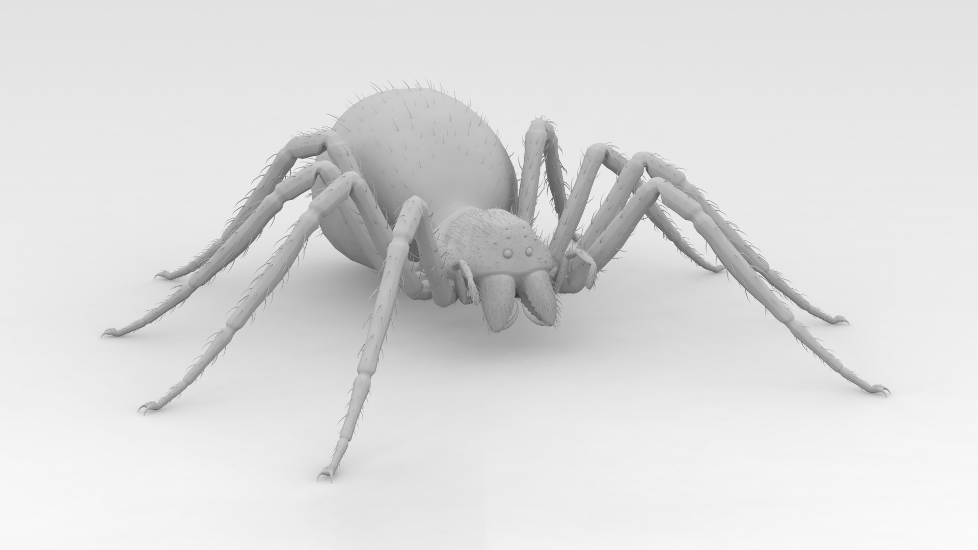 3D Giant Spider https://p.turbosquid.com/ts-thumb/wZ/1M5IPS/tj/009/png/1733901087/1920x1080/fit_q87/6c76b3e4084916cde2d21839b68b8afaf8d71983/009.jpg