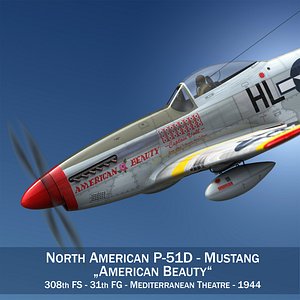 North American P-51D - American Beauty