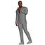 Adult Man Light Grey Suit