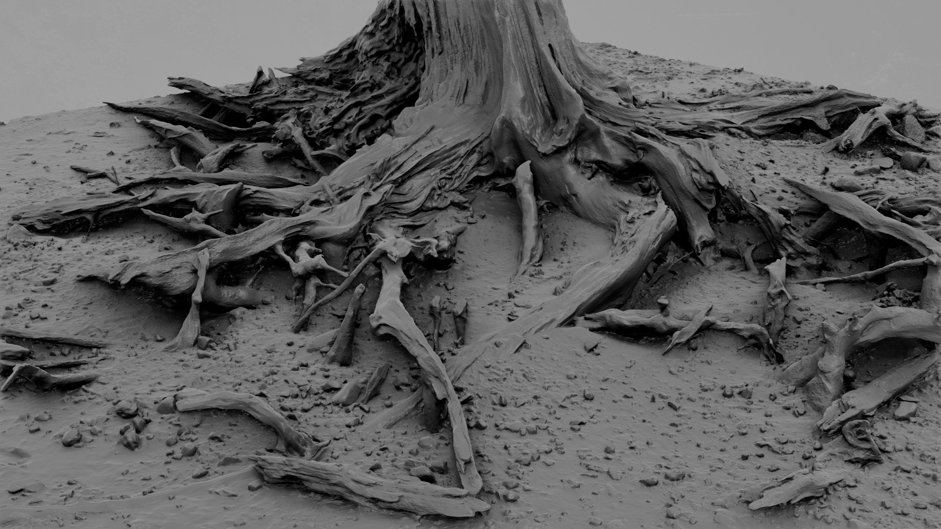 3D Dead Tree 001 Model - TurboSquid 2324668