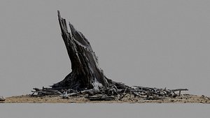 Dead Tree 001