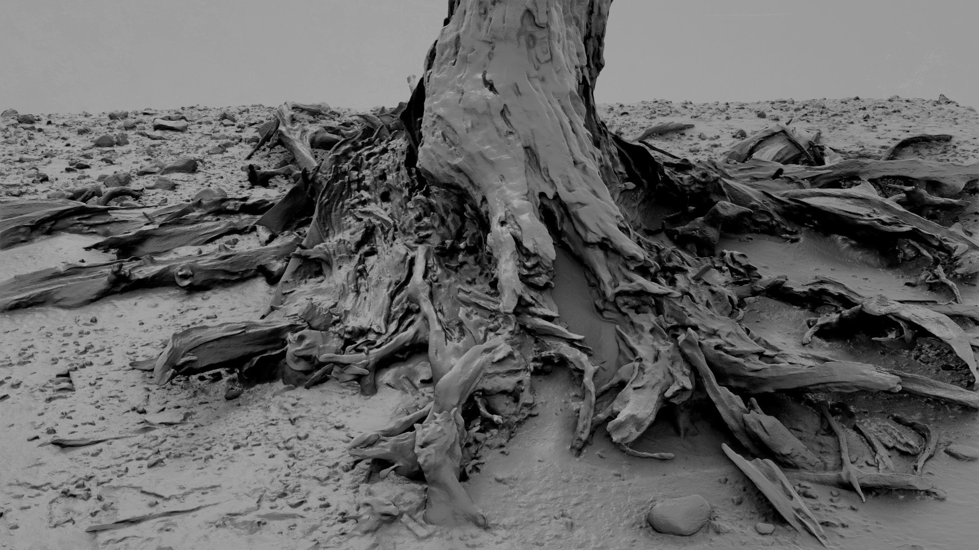 3D Dead Tree 001 Model - TurboSquid 2324668