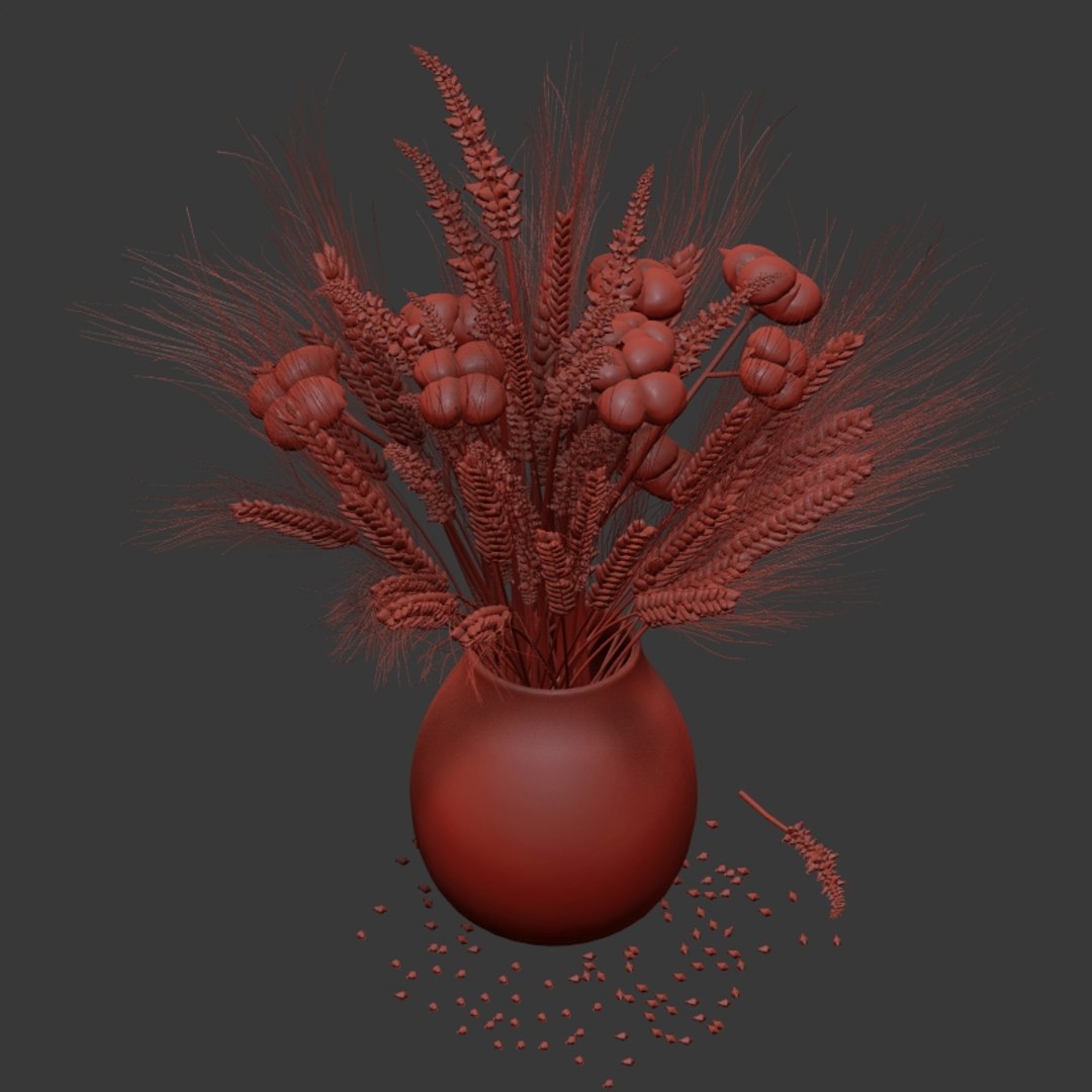 dried flower cotton 3D https://p.turbosquid.com/ts-thumb/wZ/l3fGU5/BTPebADY/q10003/jpg/1578479428/1920x1080/fit_q87/6c25a87f39466d145333560aa3ae71c54d41eb6c/q10003.jpg