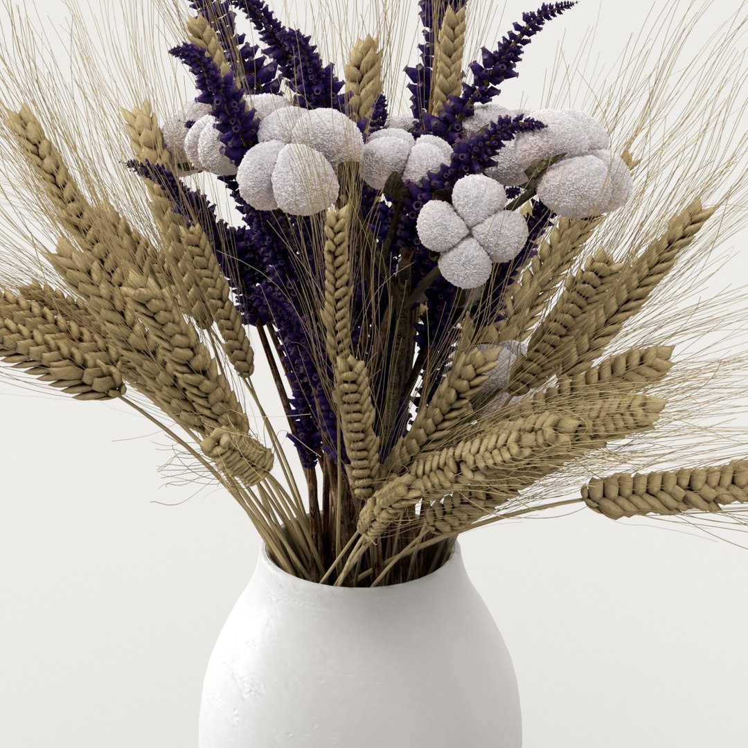 dried flower cotton 3D https://p.turbosquid.com/ts-thumb/wZ/l3fGU5/t1HdQ9jC/preview3/jpg/1578479428/1920x1080/fit_q87/ea0e4d01d5284f8df0c32dd9a2c2667a11484024/preview3.jpg