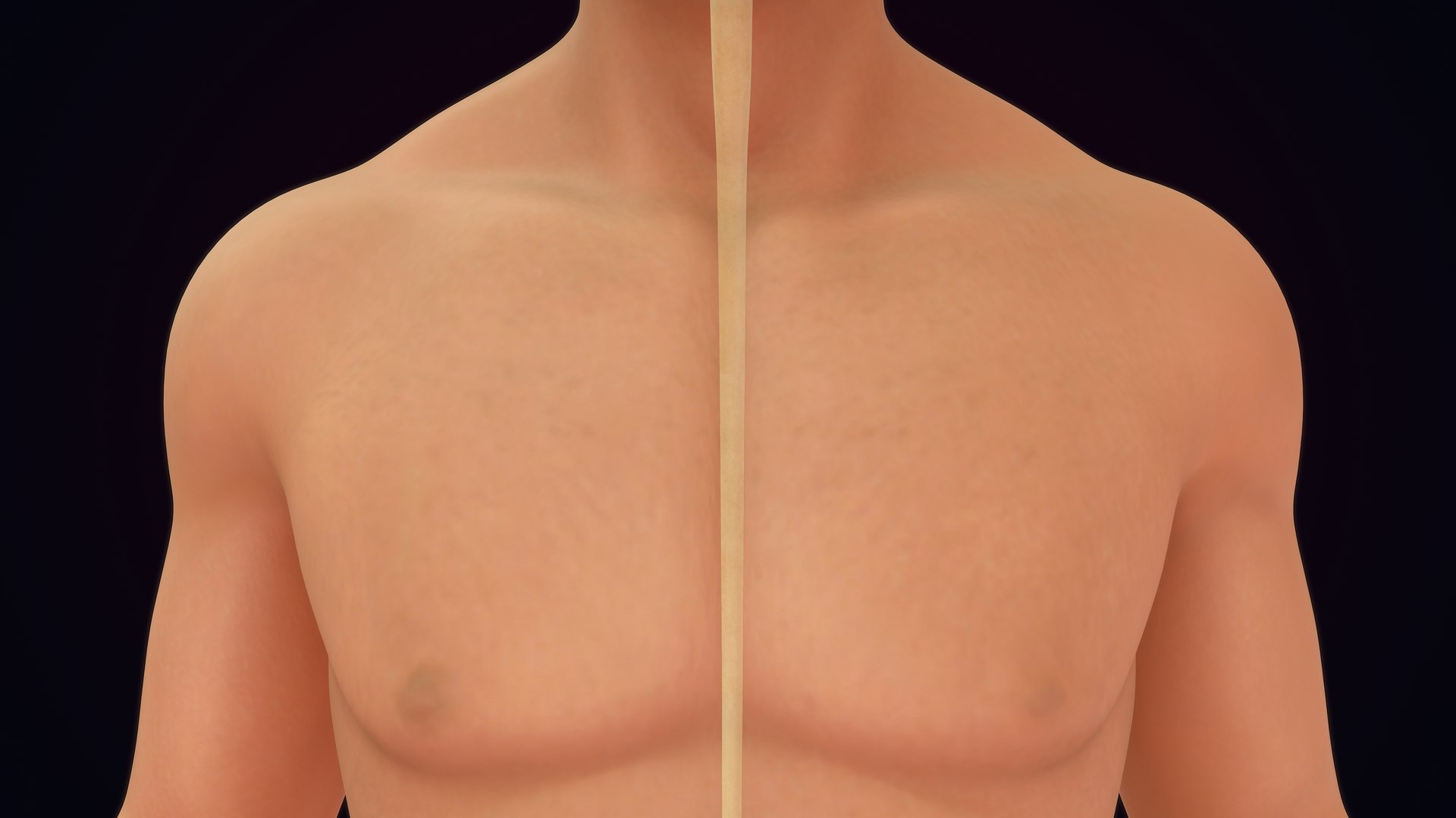 3D Natural body with Brain Anatomy https://p.turbosquid.com/ts-thumb/wZ/mx3PDV/lk/brain_0005/jpg/1651214820/1920x1080/fit_q87/e5b4ae7e2641d18263c4bfb2c650adfc2a743e70/brain_0005.jpg