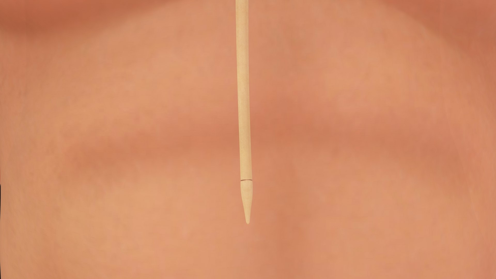 3D Natural body with Brain Anatomy https://p.turbosquid.com/ts-thumb/wZ/mx3PDV/tu/brain_0008/jpg/1651214809/1920x1080/fit_q87/859fdff249373bcd3794341f50c43310e63c2a96/brain_0008.jpg