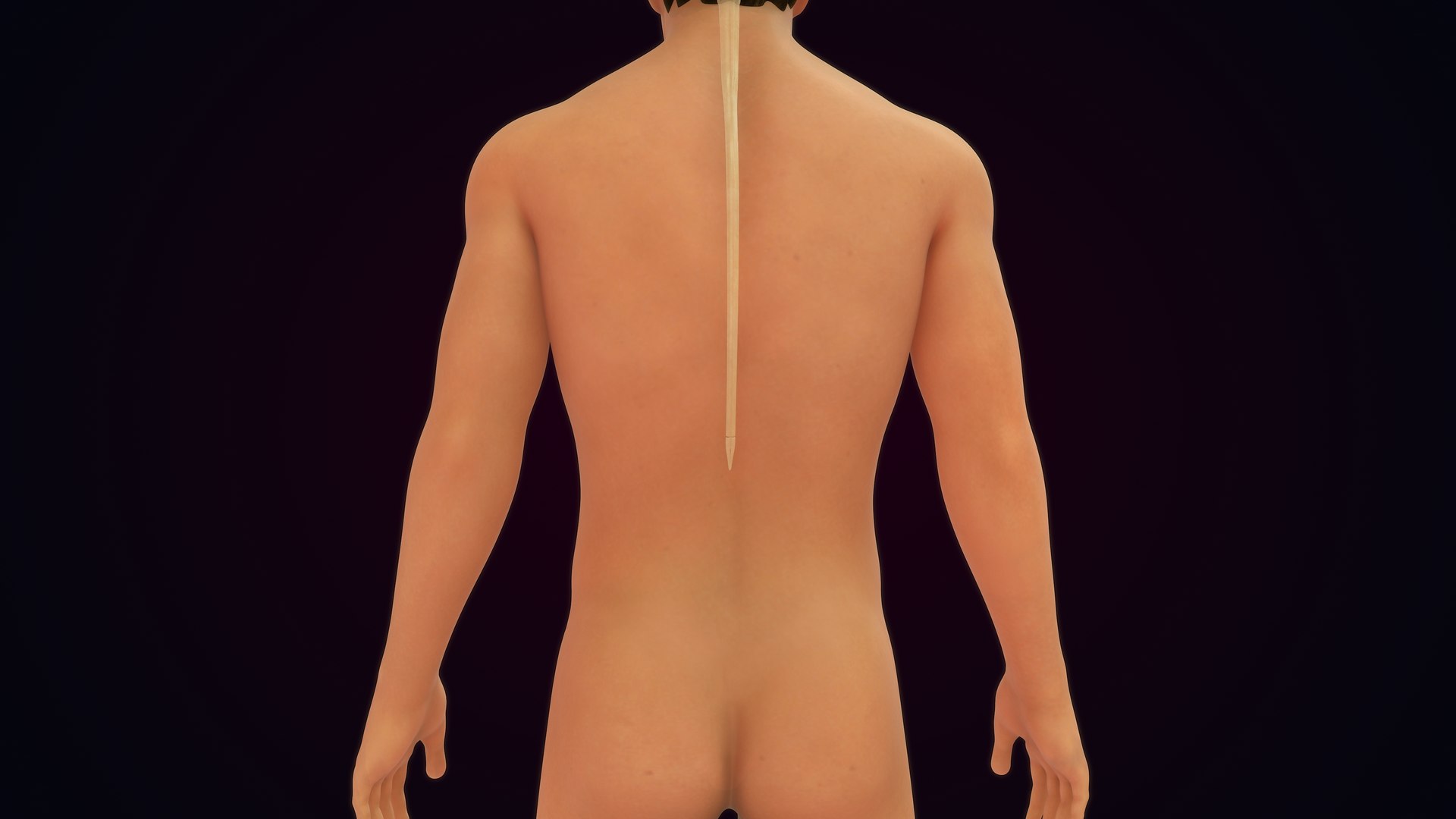 3D Natural body with Brain Anatomy https://p.turbosquid.com/ts-thumb/wZ/mx3PDV/vU/brain_0009/jpg/1651214793/1920x1080/fit_q87/cabb6c6a78884c11395643c98ab9d42f7f3cf448/brain_0009.jpg