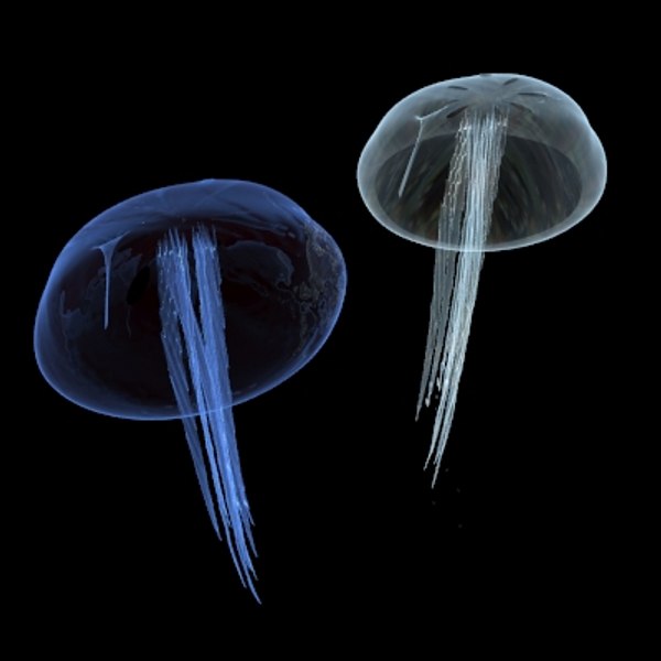 jelly fish 3d max