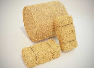 Hay Bale Square and Round 3D Model