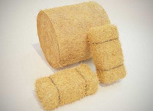 Hay Bale Square and Round 3D Model
