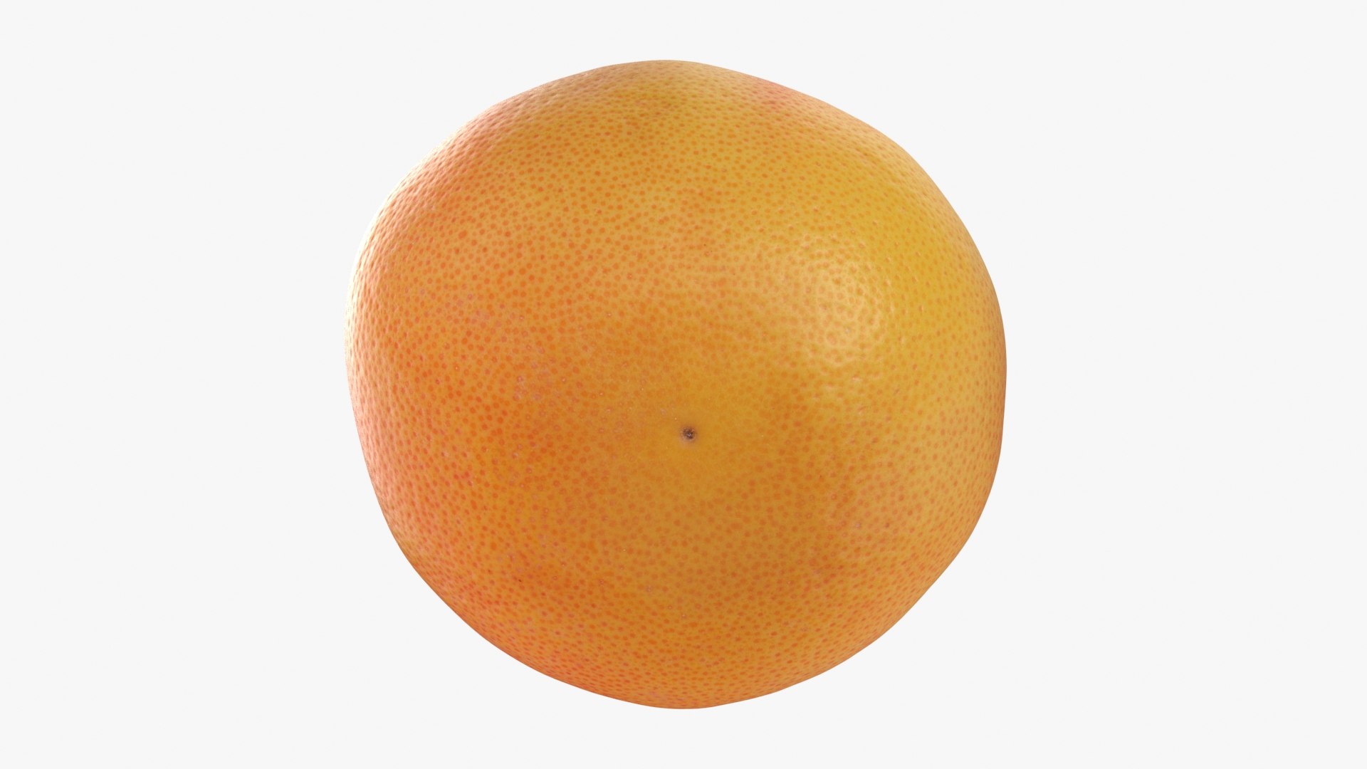 Half Grapefruit 3D https://p.turbosquid.com/ts-thumb/wa/KSgjWA/fn/grapefruithalf_b0018/jpg/1712996585/1920x1080/fit_q87/7746df2dfc1cb5079f2d41347e5cb467733b9175/grapefruithalf_b0018.jpg