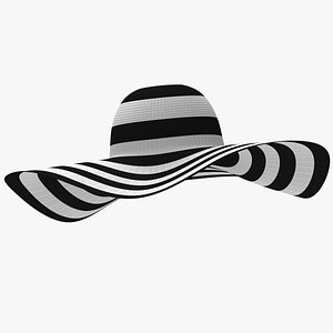 Large Brim Hat 3D model