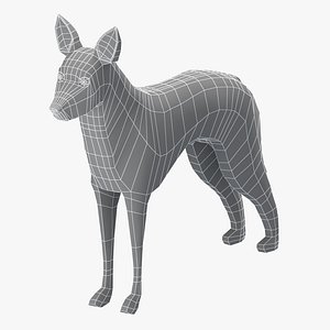 3D model base mesh koolie dog