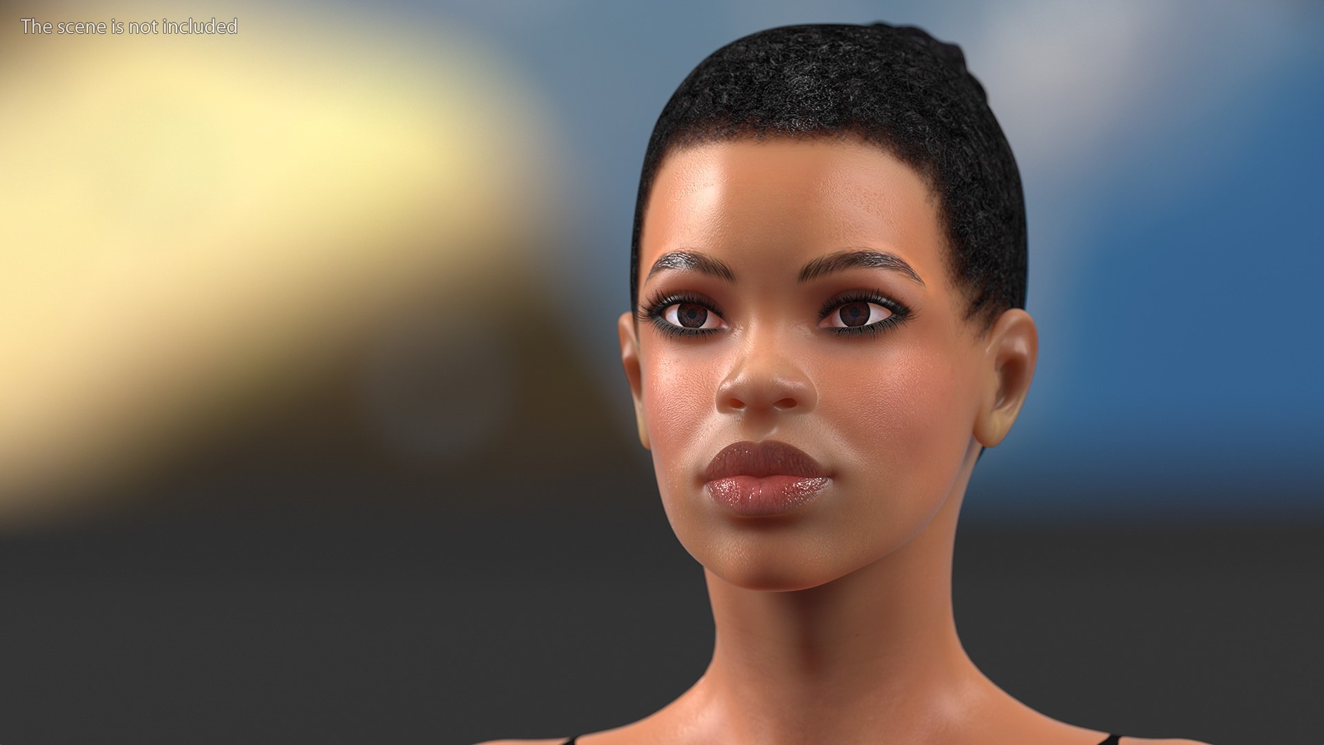 3D Afro American Woman Head - TurboSquid 1661707