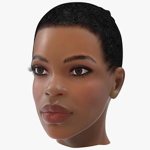 3D afro american woman head