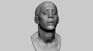3D male head model