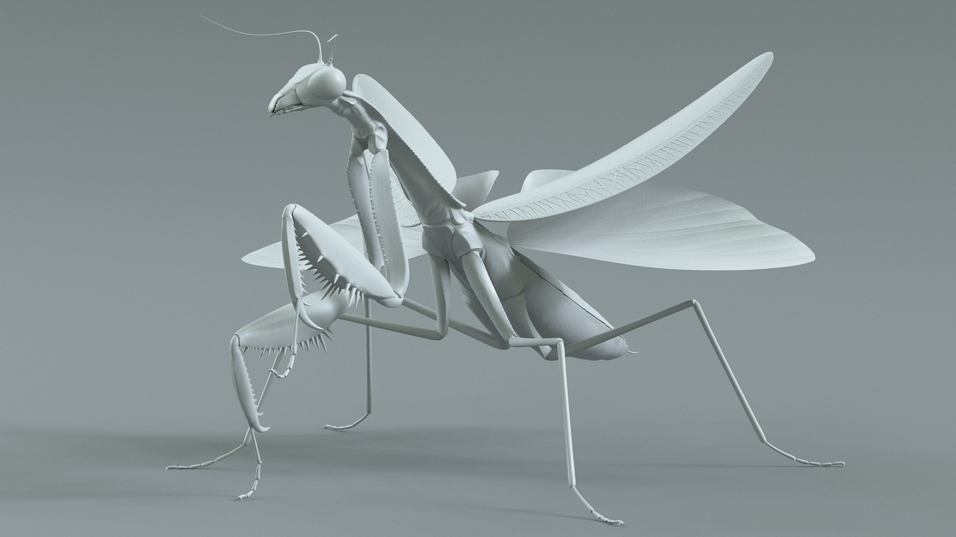 Praying Mantis Rigged model https://p.turbosquid.com/ts-thumb/wa/dChTGS/0T/mantis_23/jpg/1726469253/1920x1080/fit_q87/e3e2af5669fd2f62993768c6e4f51072fb0a8407/mantis_23.jpg