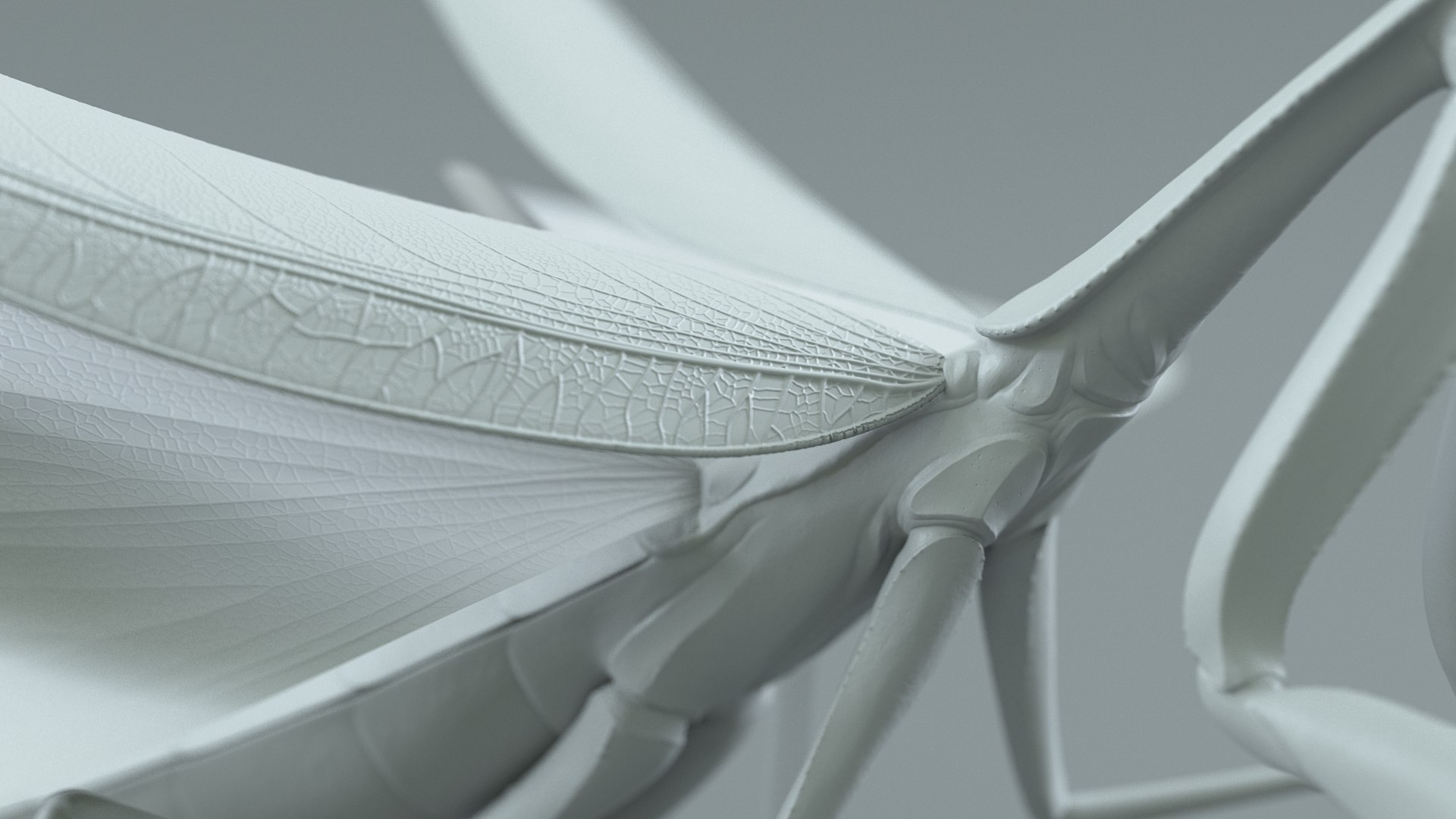 Praying Mantis Rigged model https://p.turbosquid.com/ts-thumb/wa/dChTGS/0i/mantis_27/jpg/1726469258/1920x1080/fit_q87/b028d559d22cb26ad69882a5bcbc283ff1dd68a6/mantis_27.jpg