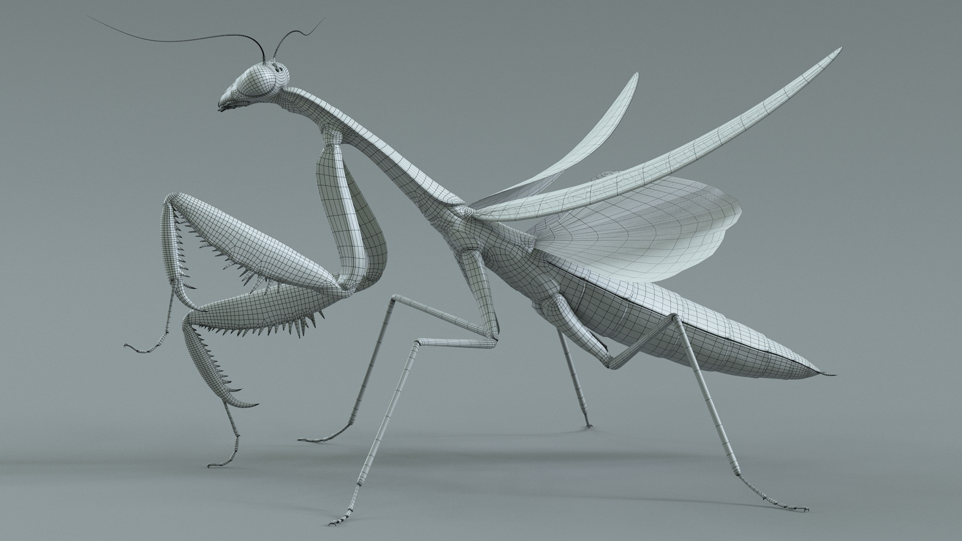 Praying Mantis Rigged model https://p.turbosquid.com/ts-thumb/wa/dChTGS/Cf/mantis_36/jpg/1726469268/1920x1080/fit_q87/118f0b76ddb846a2aa7ca2421b031de8b3f19733/mantis_36.jpg