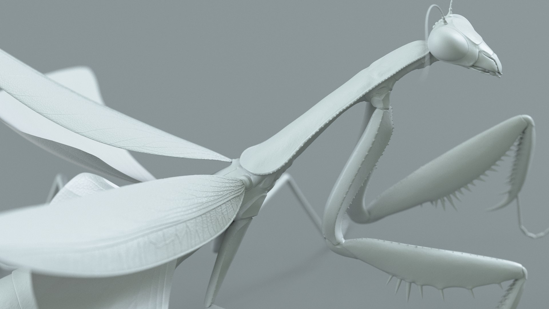Praying Mantis Rigged model https://p.turbosquid.com/ts-thumb/wa/dChTGS/G3/mantis_28/jpg/1726469260/1920x1080/fit_q87/89e11893c57454ce268e505c20f0d8f1bd736ef6/mantis_28.jpg