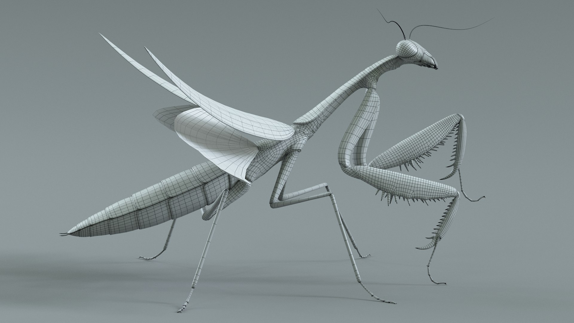 Praying Mantis Rigged model https://p.turbosquid.com/ts-thumb/wa/dChTGS/Jg/mantis_32/jpg/1726469264/1920x1080/fit_q87/c38a6d536edf040e0af4fe6eb157a21748afc5df/mantis_32.jpg