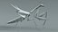 Praying Mantis Rigged model