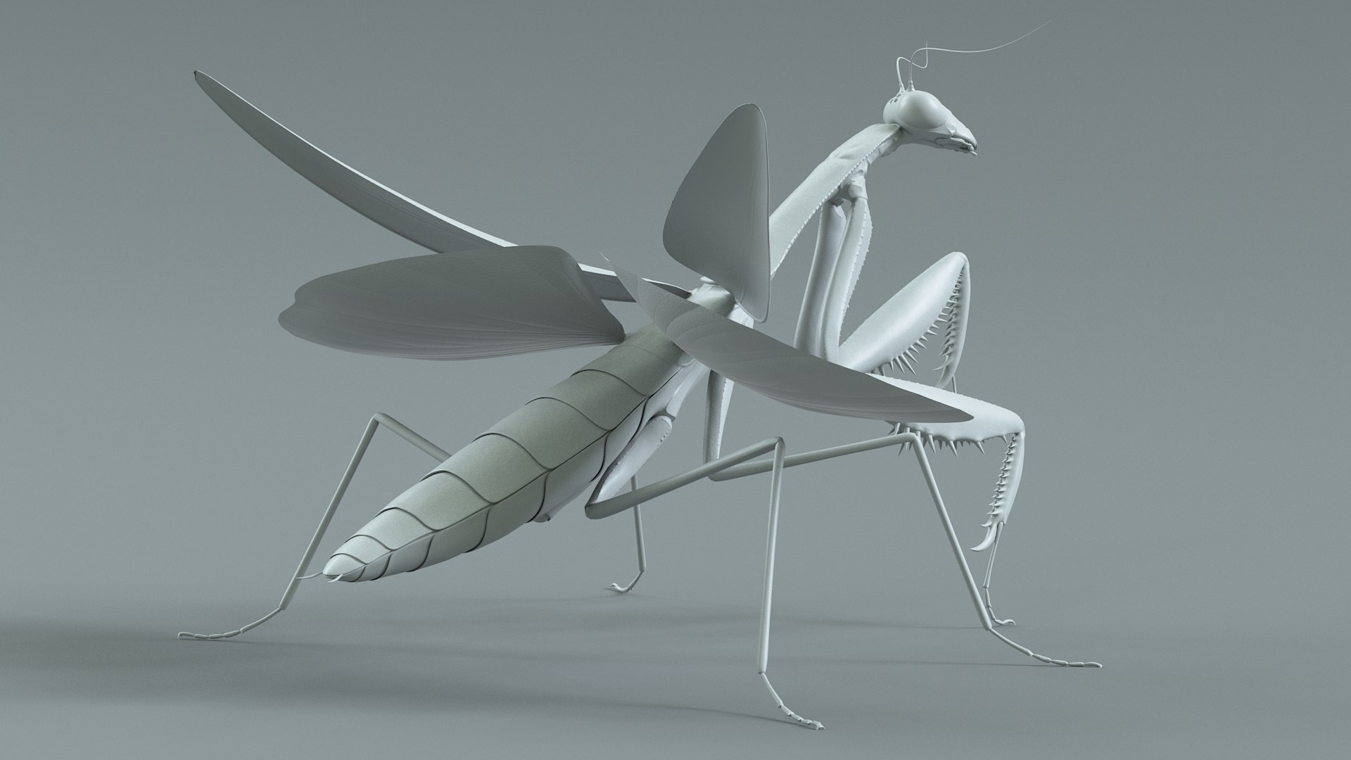 Praying Mantis Rigged model https://p.turbosquid.com/ts-thumb/wa/dChTGS/TT/mantis_19/jpg/1726469247/1920x1080/fit_q87/f4b2ba4e0a4de02a5bf8519ad24d007c3ed8ca74/mantis_19.jpg
