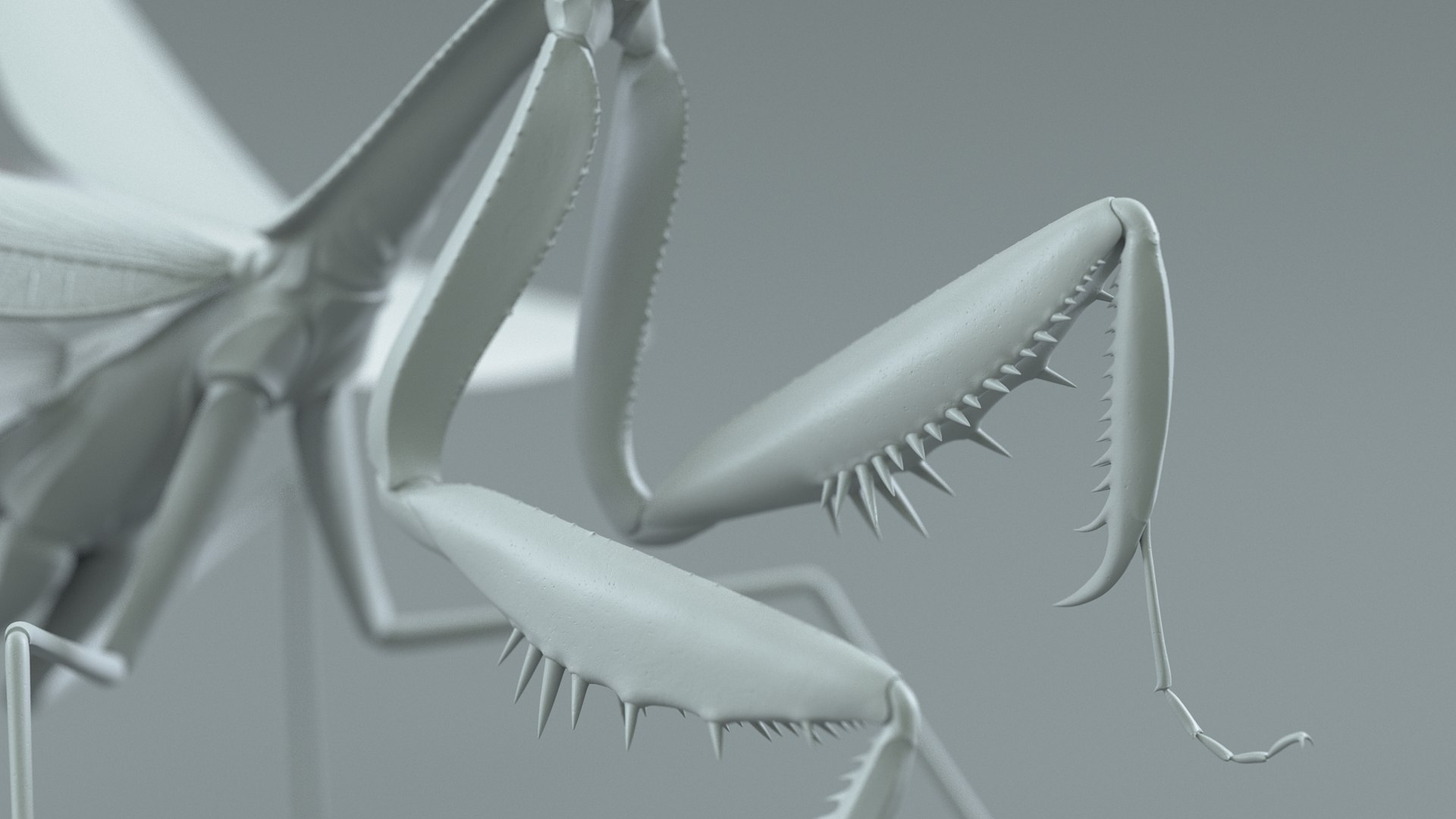 Praying Mantis Rigged model https://p.turbosquid.com/ts-thumb/wa/dChTGS/VB/mantis_26/jpg/1726469256/1920x1080/fit_q87/d557f8a1fdf2d760f4dd68a838091f21cf7b6d61/mantis_26.jpg