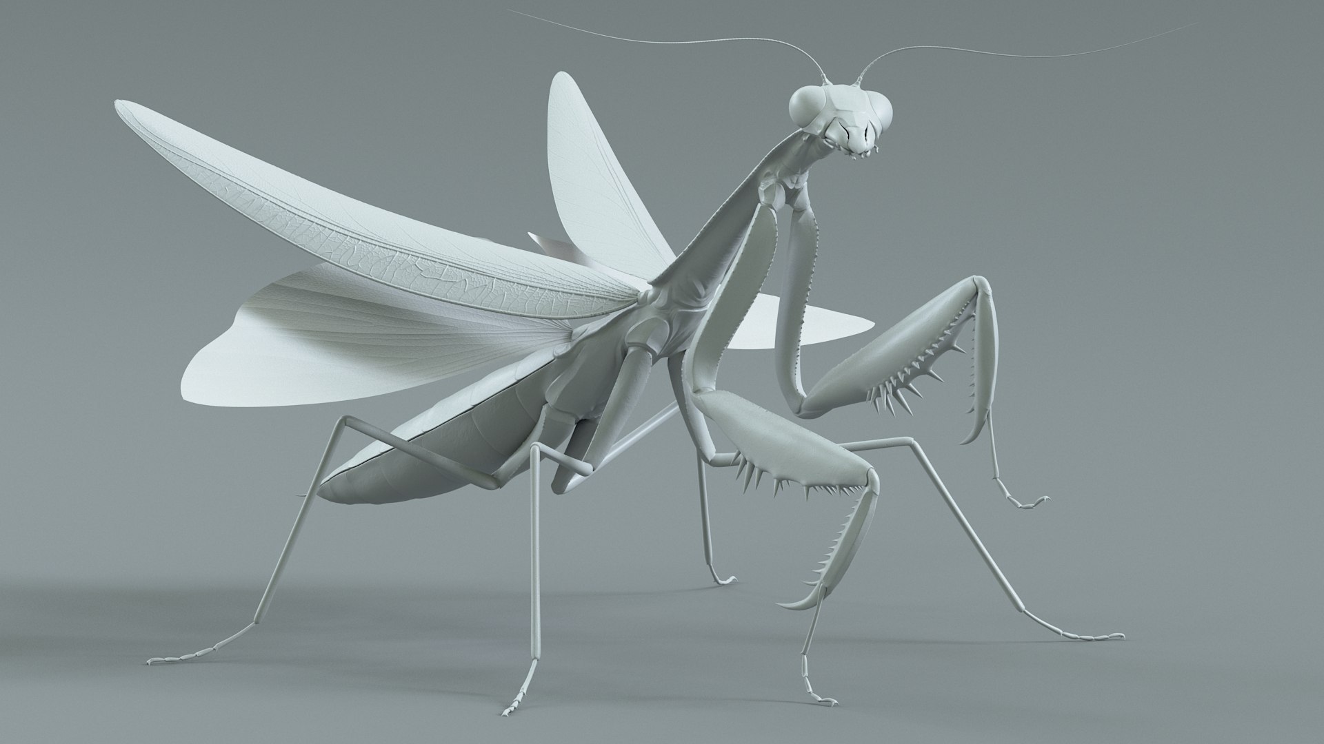 Praying Mantis Rigged model https://p.turbosquid.com/ts-thumb/wa/dChTGS/a3/mantis_16/jpg/1726469241/1920x1080/fit_q87/07e807778be699e747de74d23afb14c8a743b2dd/mantis_16.jpg