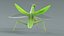 Praying Mantis Rigged model
