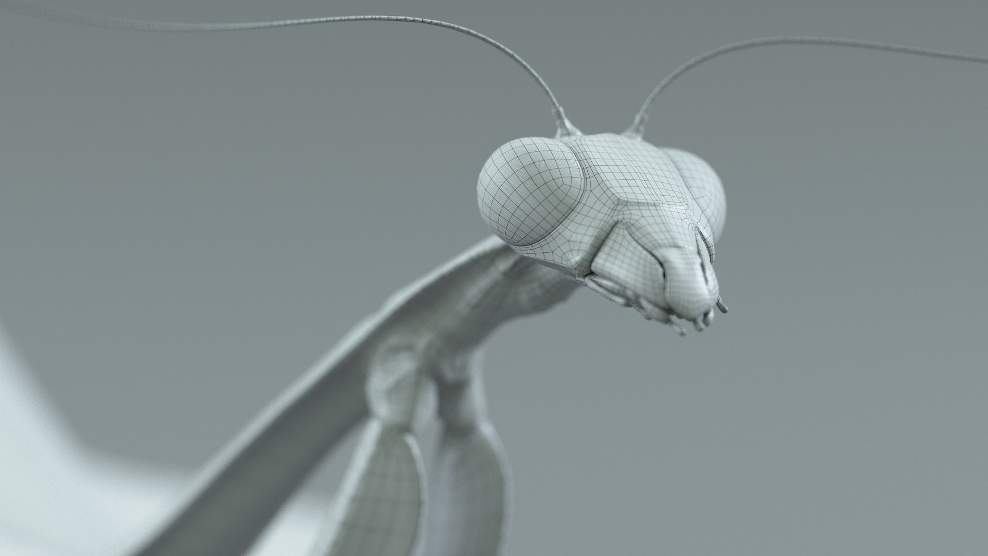 Praying Mantis Rigged model https://p.turbosquid.com/ts-thumb/wa/dChTGS/nM/mantis_39/jpg/1726469268/1920x1080/fit_q87/b470d1be65439433d1c8c3f248e52b57cc57710f/mantis_39.jpg
