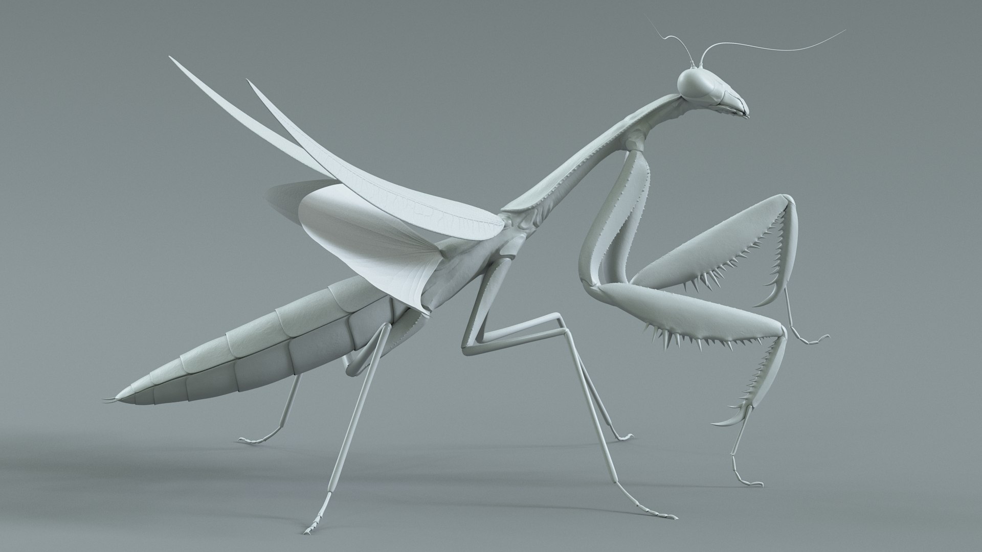 Praying Mantis Rigged model https://p.turbosquid.com/ts-thumb/wa/dChTGS/nc/mantis_18/jpg/1726469247/1920x1080/fit_q87/a9b9a10308c8961ef2e9b2b40f27252b673461cb/mantis_18.jpg