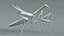 Praying Mantis Rigged model