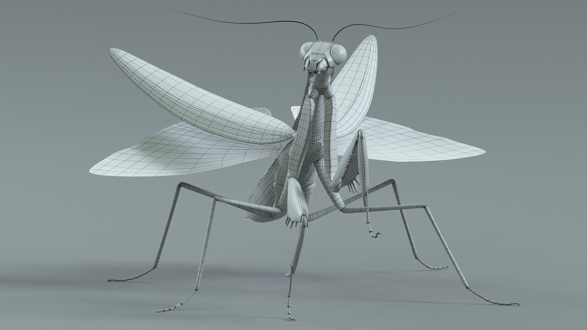 Praying Mantis Rigged model https://p.turbosquid.com/ts-thumb/wa/dChTGS/ni/mantis_38/jpg/1726469268/1920x1080/fit_q87/67479fb8f6594509af6b4edebafa9053aad53d31/mantis_38.jpg