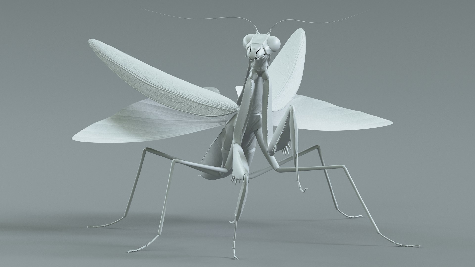 Praying Mantis Rigged model https://p.turbosquid.com/ts-thumb/wa/dChTGS/sI/mantis_24/jpg/1726469253/1920x1080/fit_q87/e49deafa10230ccf4b27abb5f7989f450f8b2d13/mantis_24.jpg