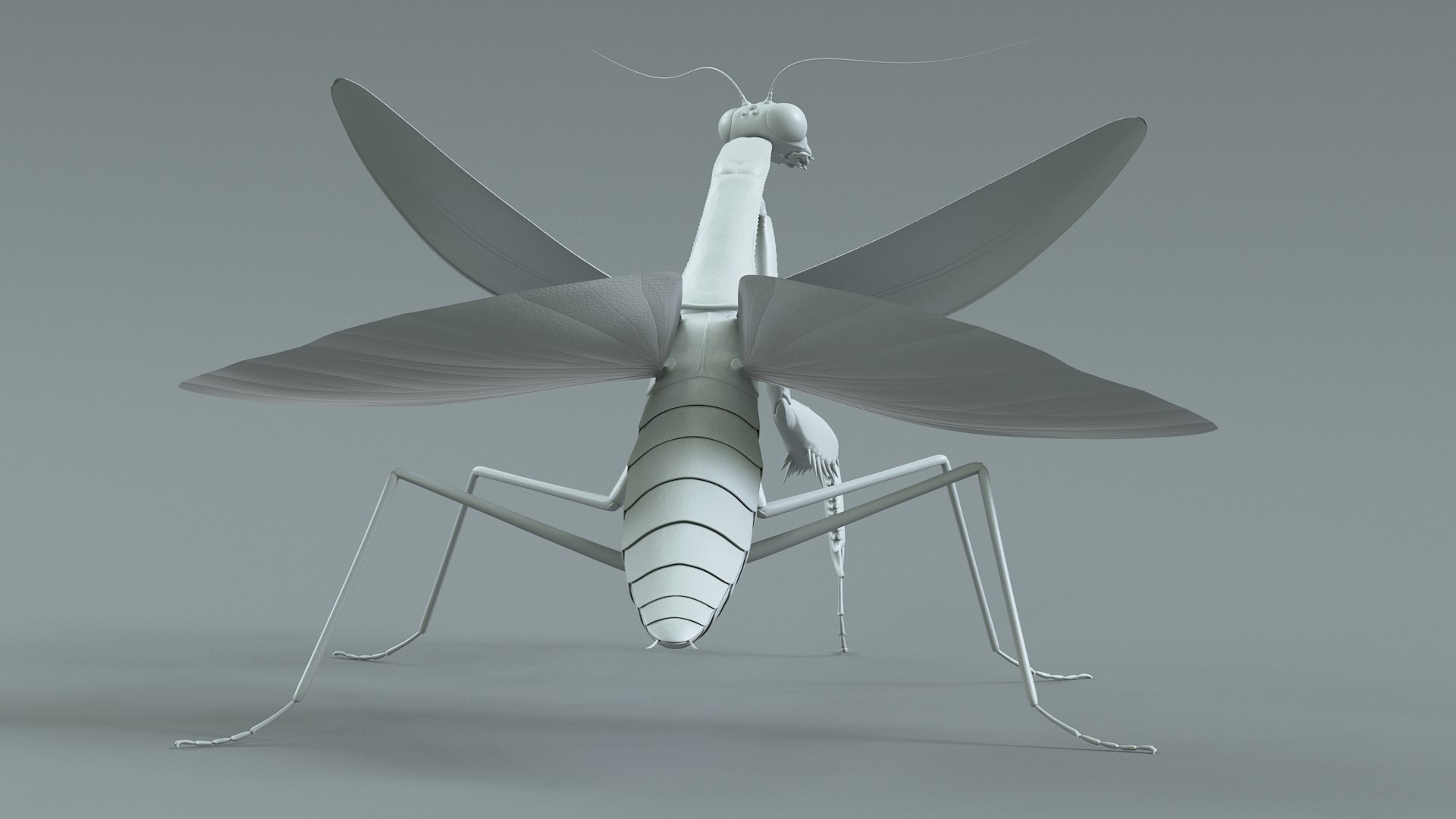 Praying Mantis Rigged model https://p.turbosquid.com/ts-thumb/wa/dChTGS/sN/mantis_20/jpg/1726469248/1920x1080/fit_q87/7f8e86b8b9e4ef611cbcb6735ea1daef66d55334/mantis_20.jpg