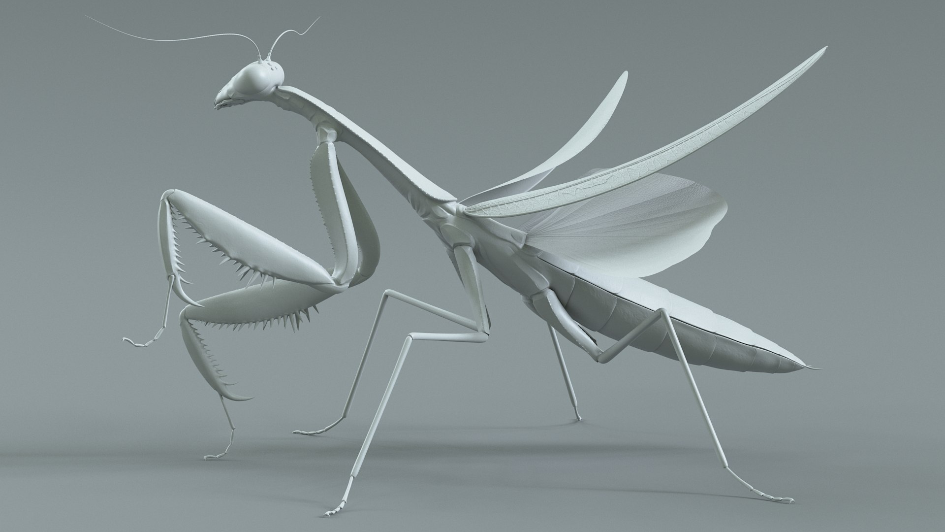 Praying Mantis Rigged model https://p.turbosquid.com/ts-thumb/wa/dChTGS/uj/mantis_22/jpg/1726469254/1920x1080/fit_q87/cbad5f933526e5ab2866e0a7bc18a33ac9b0a0f5/mantis_22.jpg