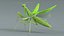 Praying Mantis Rigged model