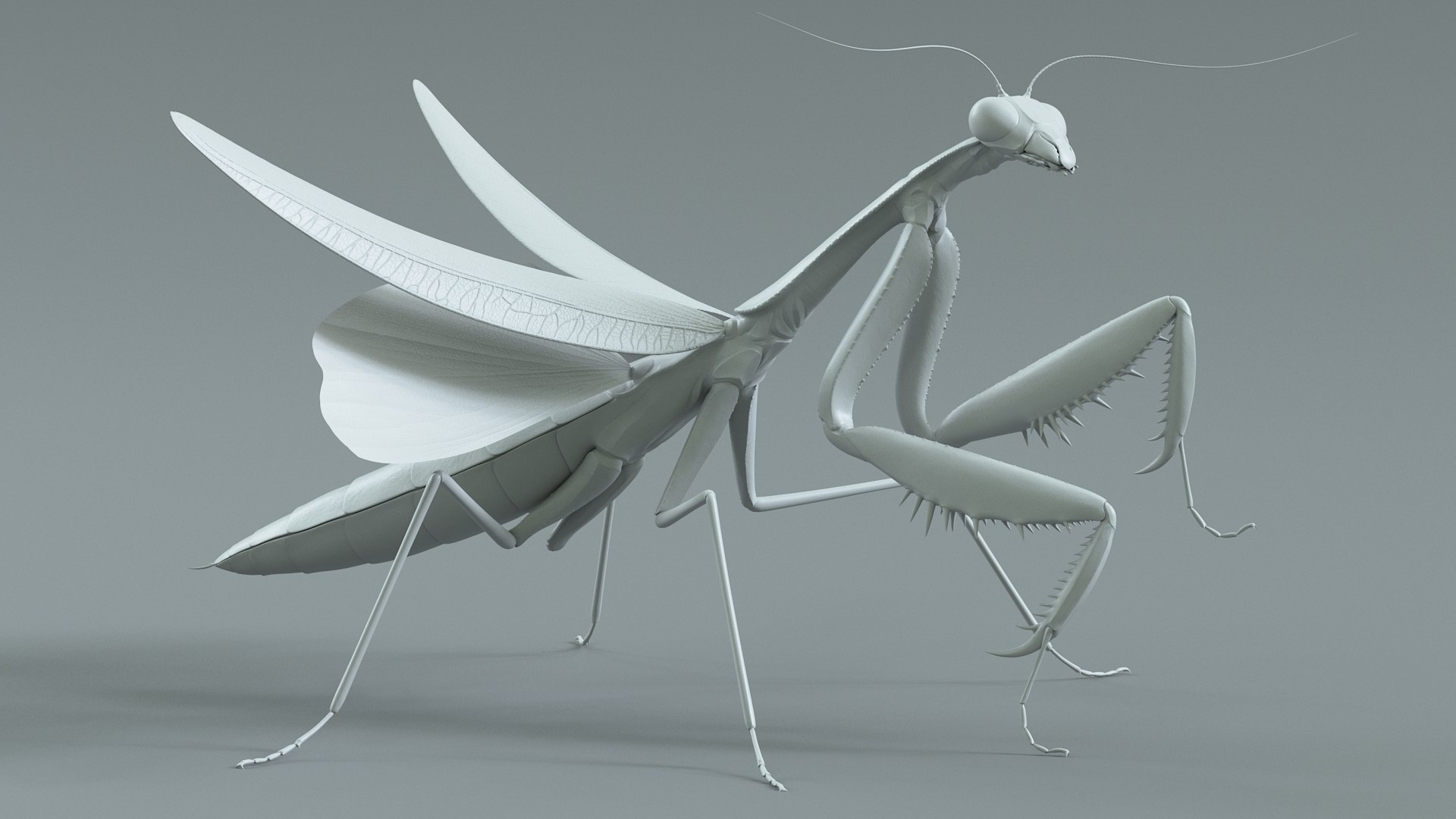 Praying Mantis Rigged model https://p.turbosquid.com/ts-thumb/wa/dChTGS/xS/mantis_17/jpg/1726469241/1920x1080/fit_q87/cef3297dfa97f4718b712773f219e3665c843524/mantis_17.jpg