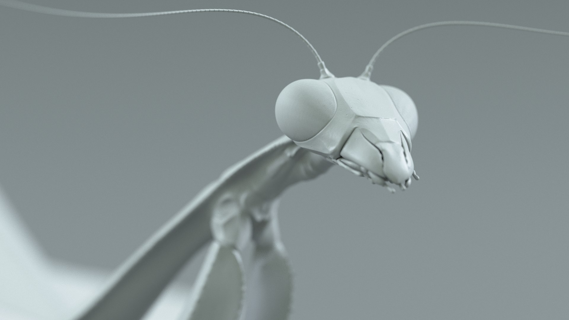 Praying Mantis Rigged model https://p.turbosquid.com/ts-thumb/wa/dChTGS/yG/mantis_25/jpg/1726469257/1920x1080/fit_q87/fc960554ac3bc6cdef5398dd3619ebe9facd81a0/mantis_25.jpg