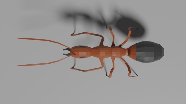 3D Low-poly Ant model - TurboSquid 1777193