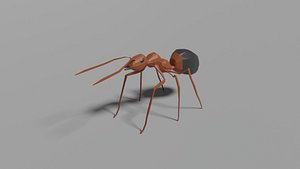 Low-poly Ant