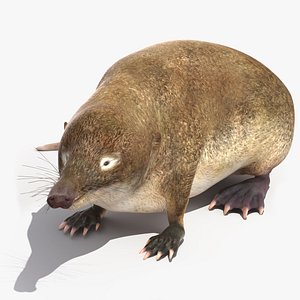 Desman Idle Pose