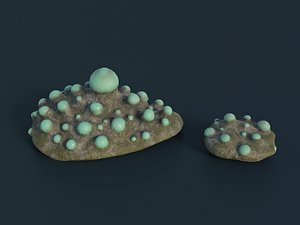 Fantasy Spider Eggs 3D