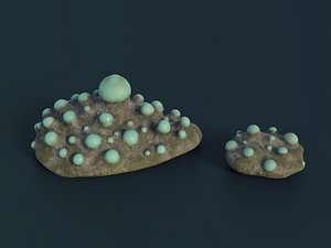 Fantasy Spider Eggs