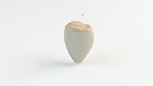 hearing aid inear