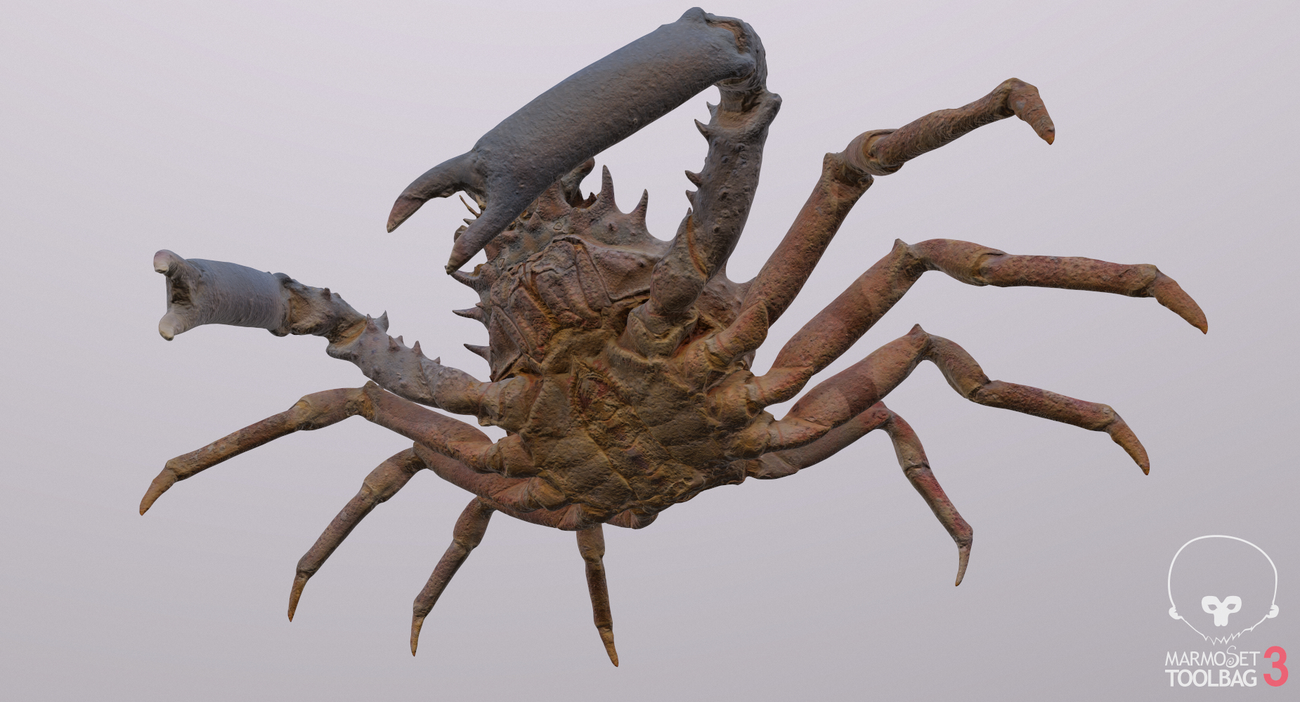 3D decorator spider crab - TurboSquid 1411100